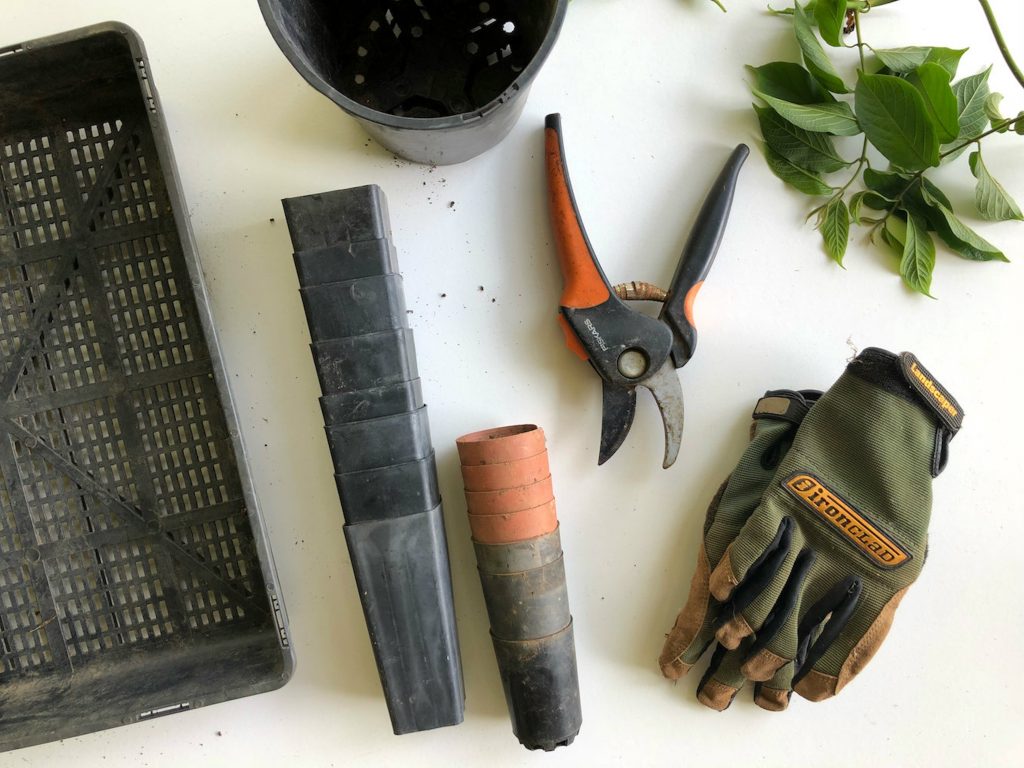 Assorted gardening tools on white surface